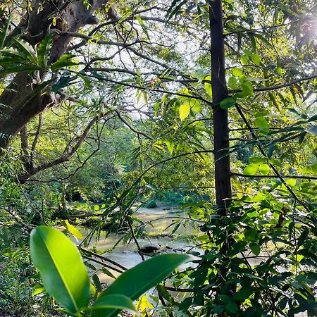Yala Safari River View Hotel 蒂瑟默哈拉默 外观 照片