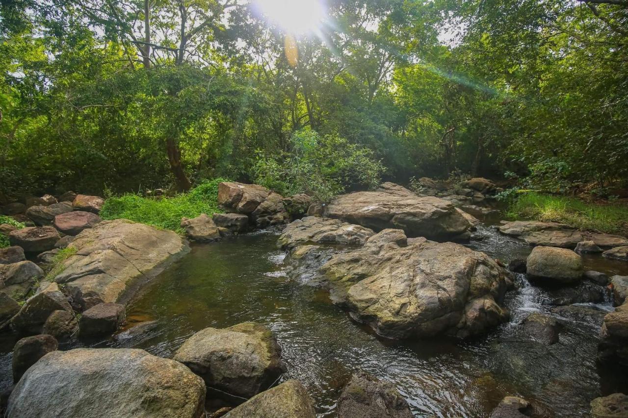 Yala Safari River View Hotel 蒂瑟默哈拉默 外观 照片