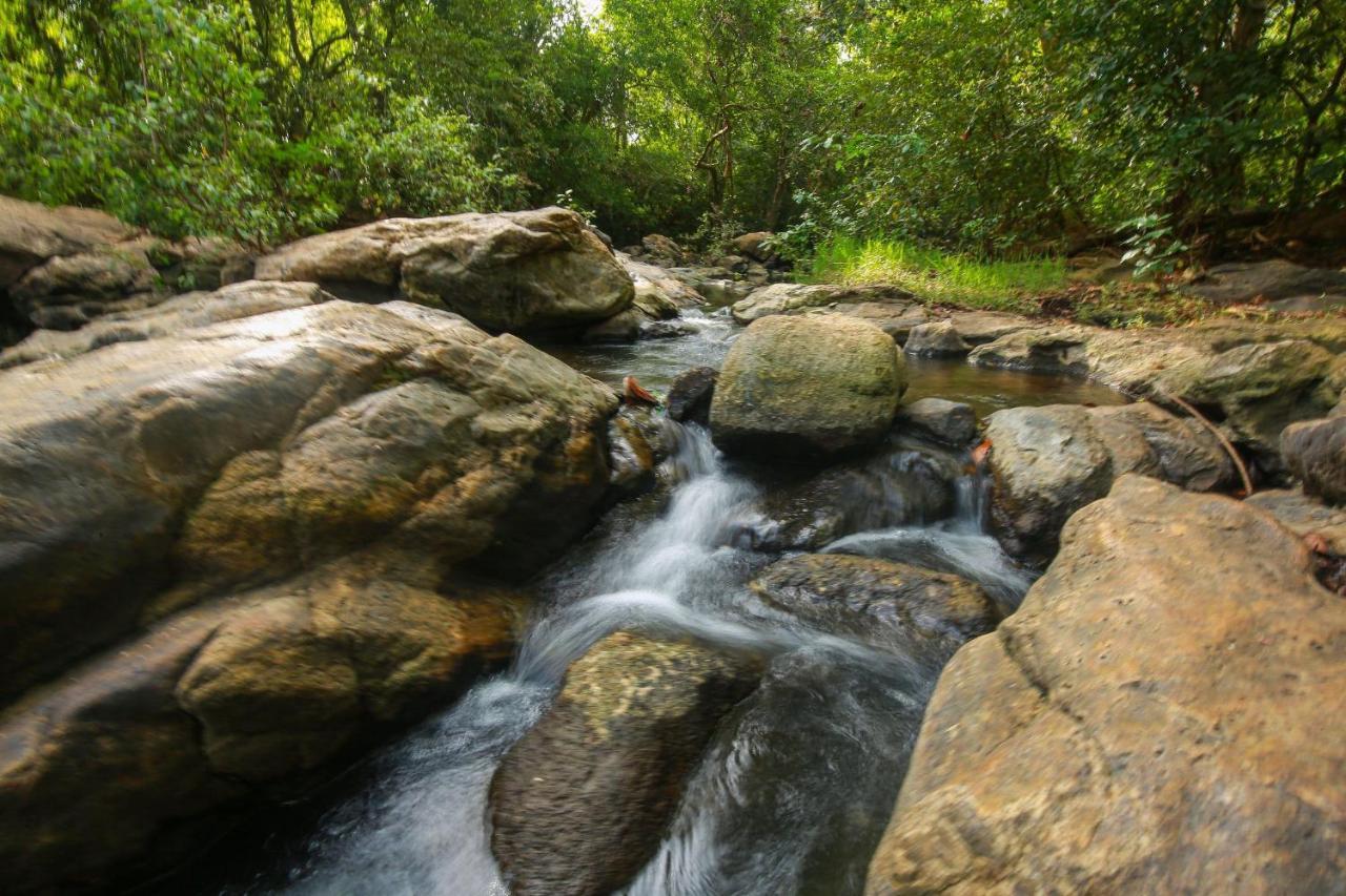 Yala Safari River View Hotel 蒂瑟默哈拉默 外观 照片