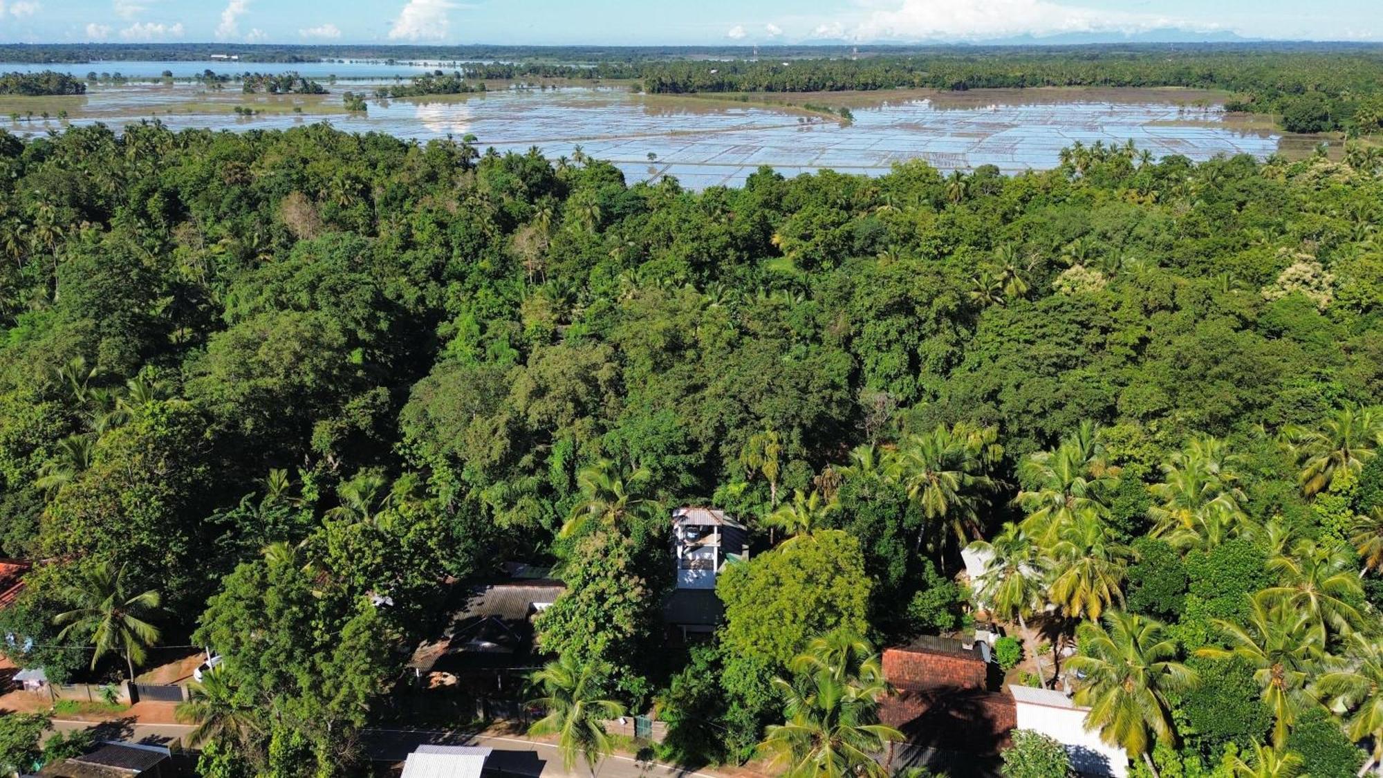Yala Safari River View Hotel 蒂瑟默哈拉默 外观 照片