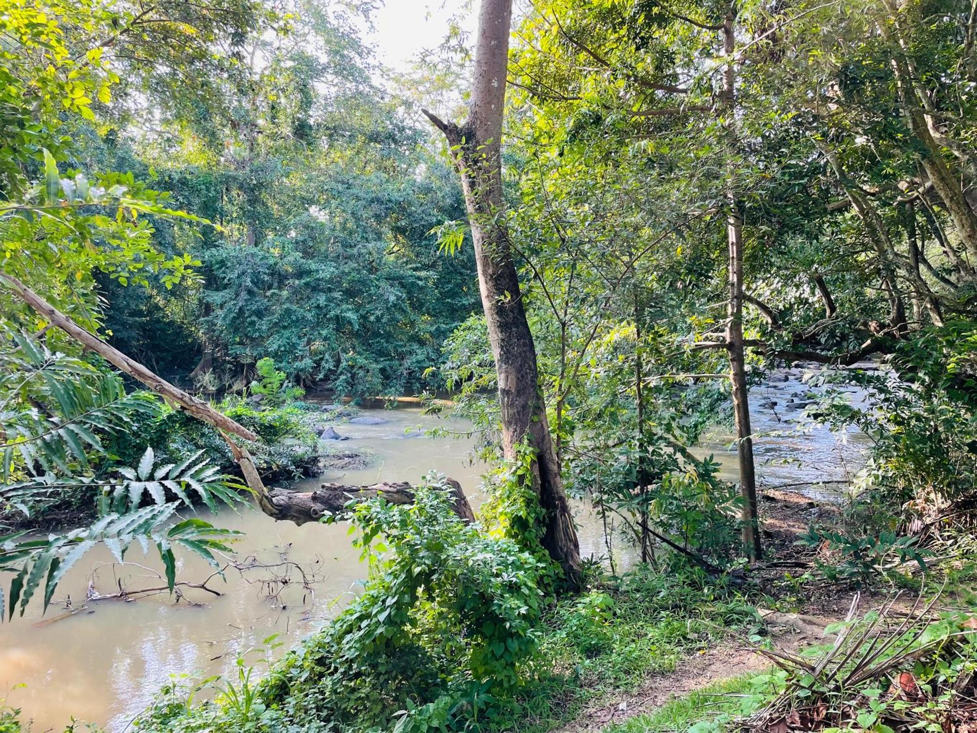 Yala Safari River View Hotel 蒂瑟默哈拉默 外观 照片