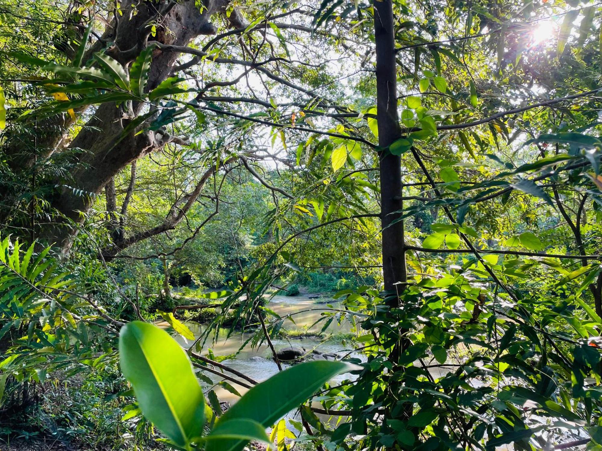 Yala Safari River View Hotel 蒂瑟默哈拉默 外观 照片