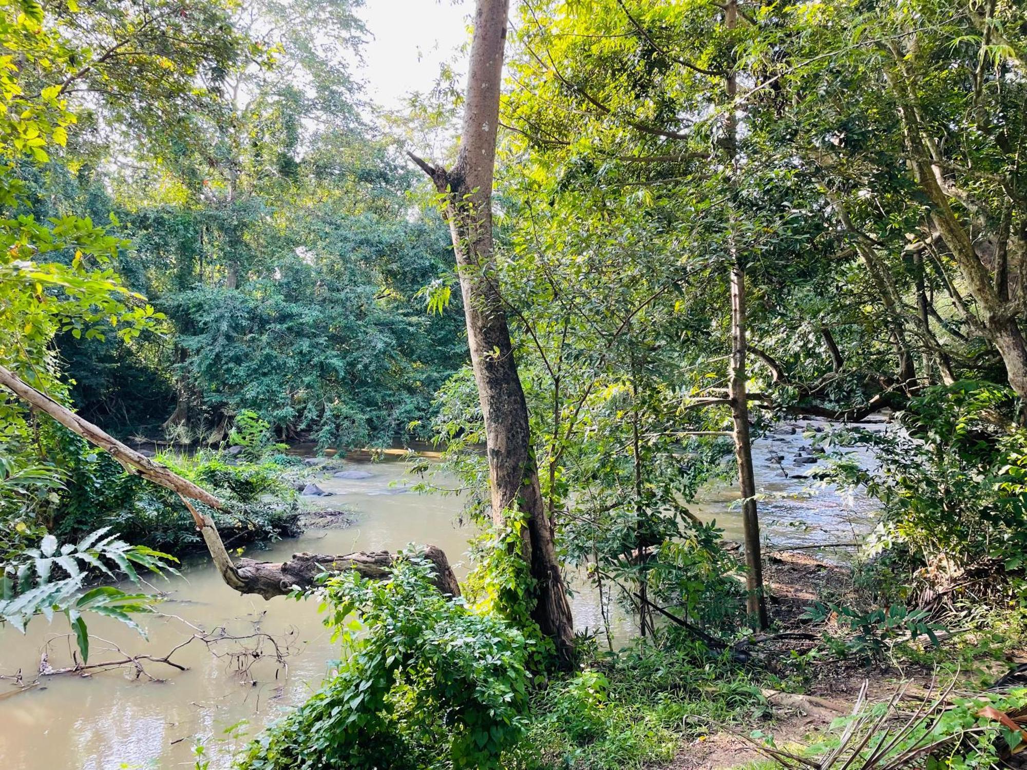 Yala Safari River View Hotel 蒂瑟默哈拉默 外观 照片