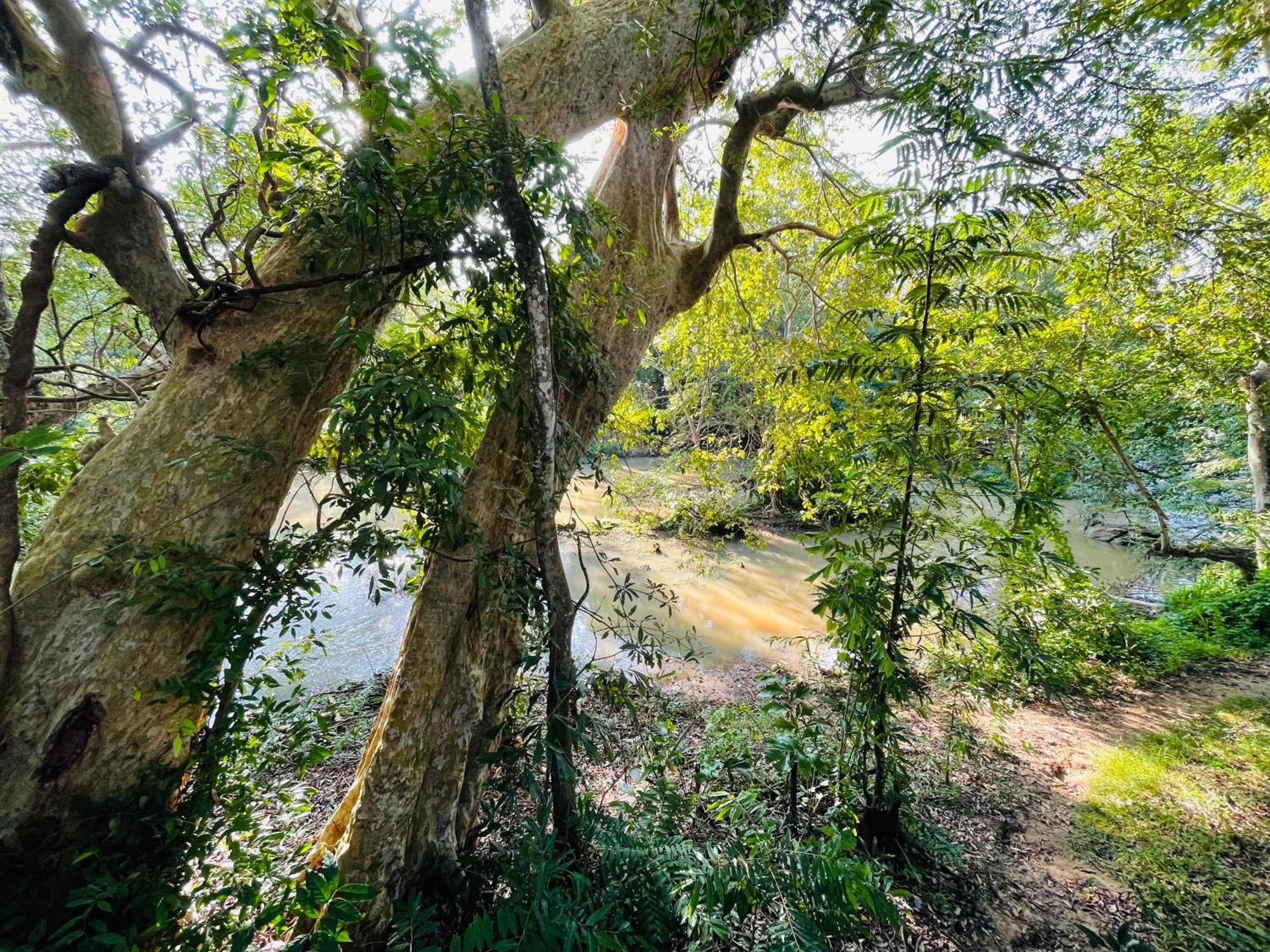 Yala Safari River View Hotel 蒂瑟默哈拉默 外观 照片