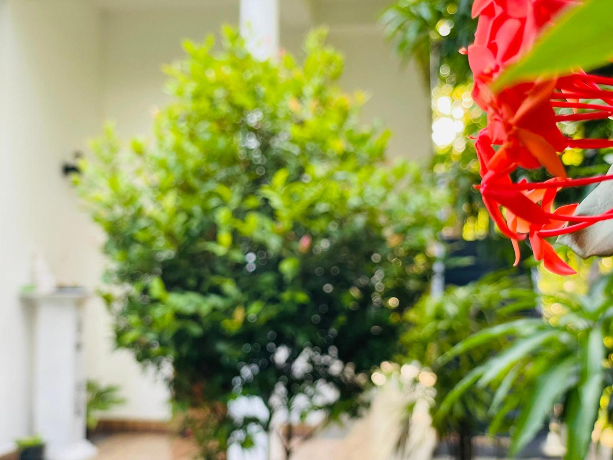 Yala Safari River View Hotel 蒂瑟默哈拉默 外观 照片