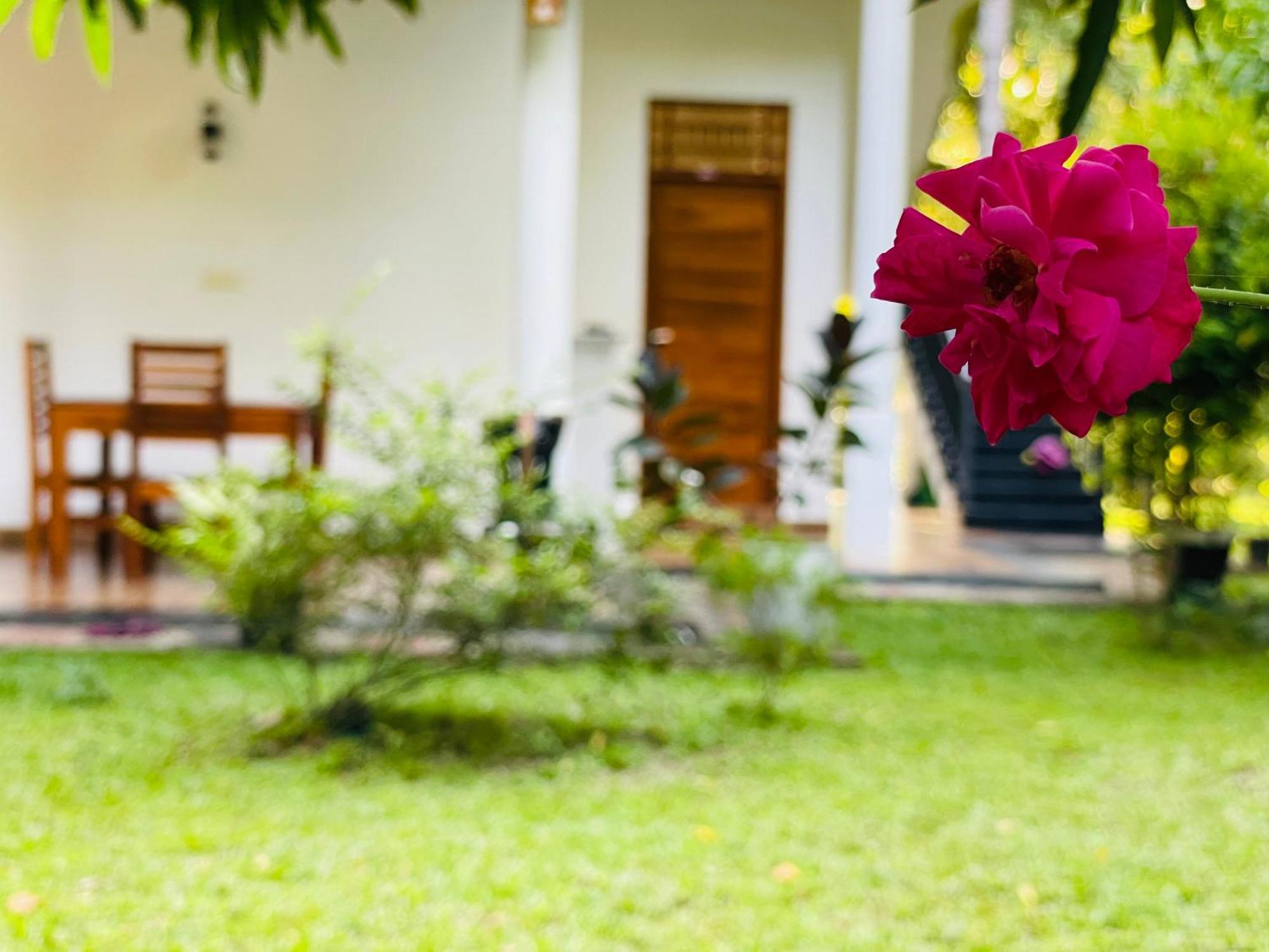 Yala Safari River View Hotel 蒂瑟默哈拉默 外观 照片