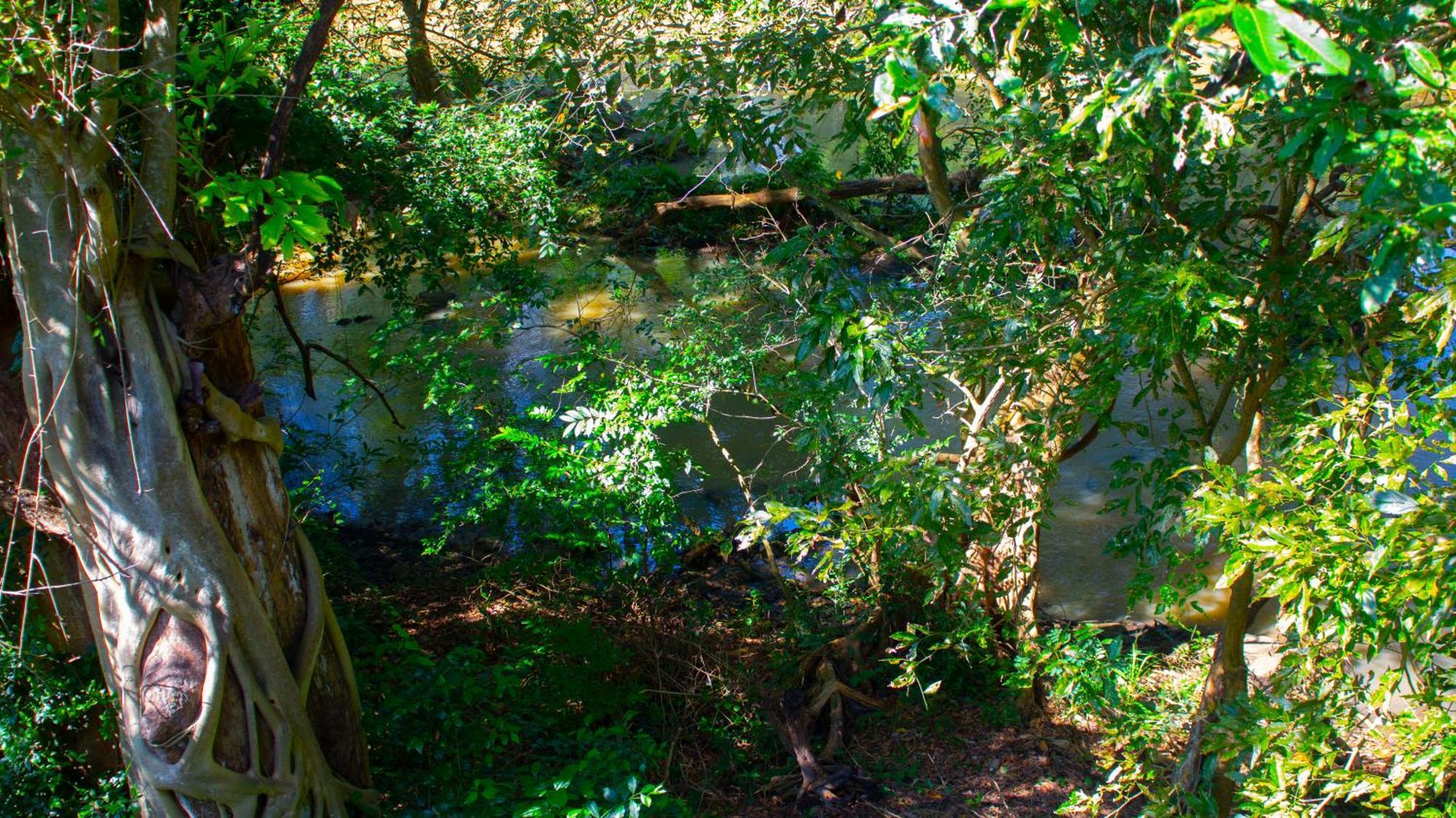 Yala Safari River View Hotel 蒂瑟默哈拉默 外观 照片