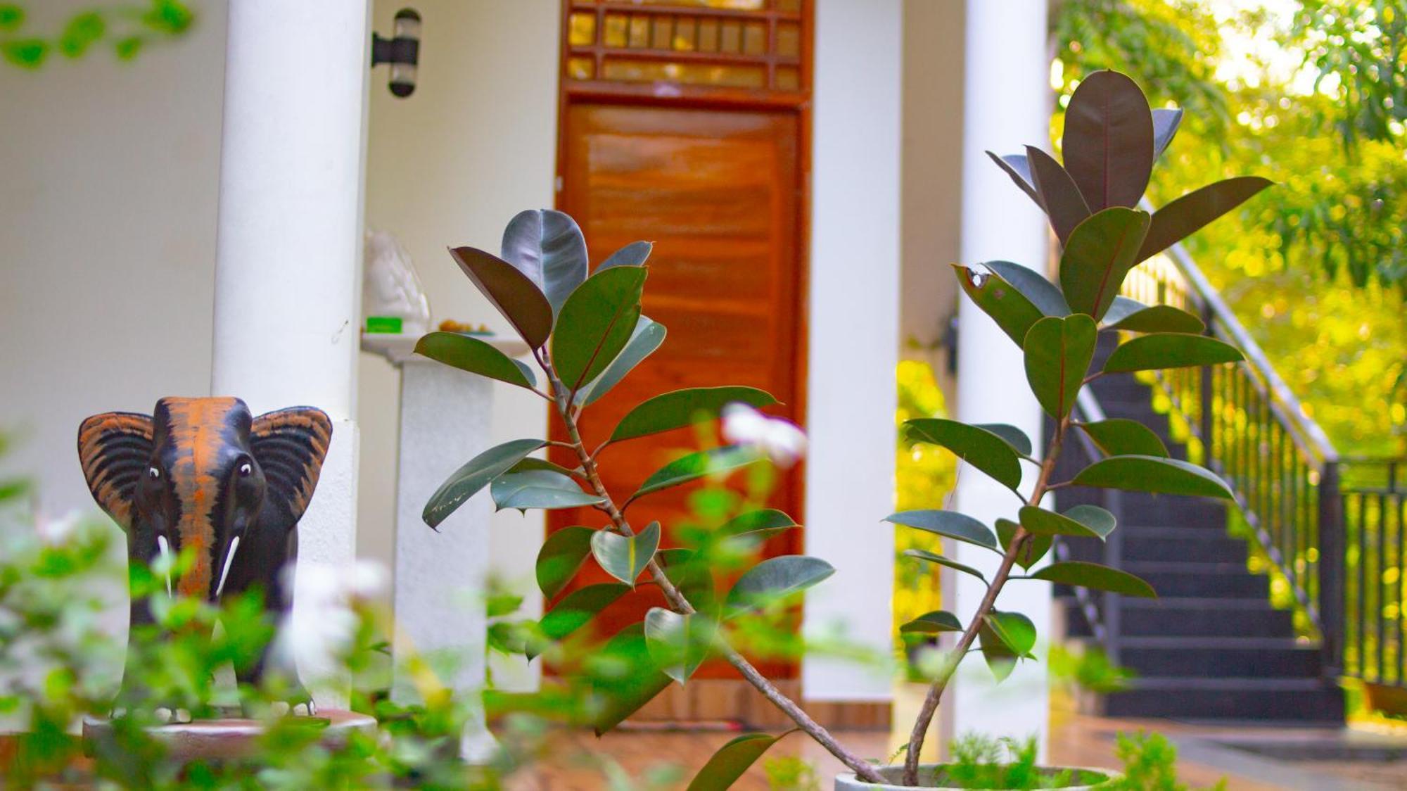 Yala Safari River View Hotel 蒂瑟默哈拉默 外观 照片