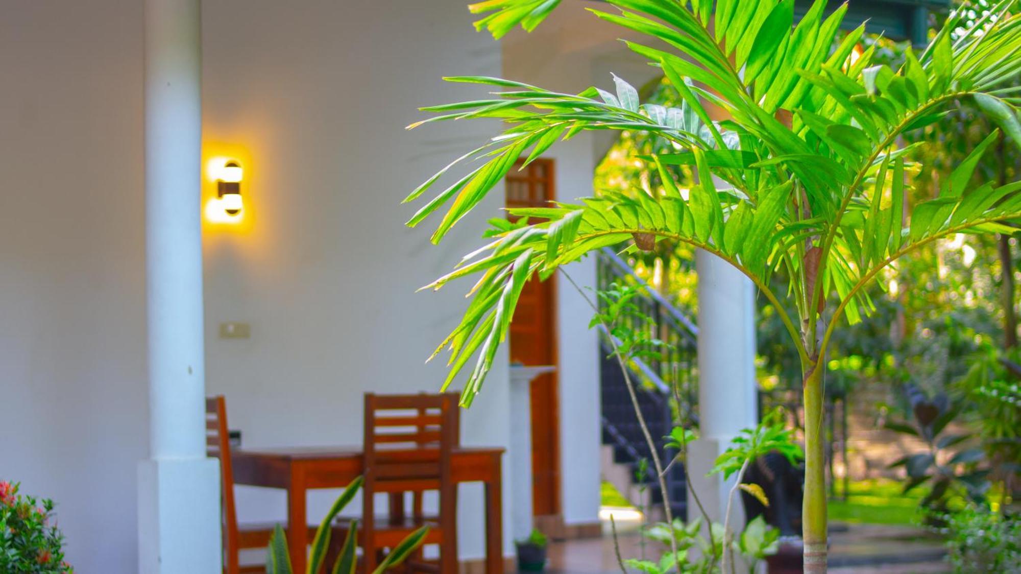 Yala Safari River View Hotel 蒂瑟默哈拉默 外观 照片